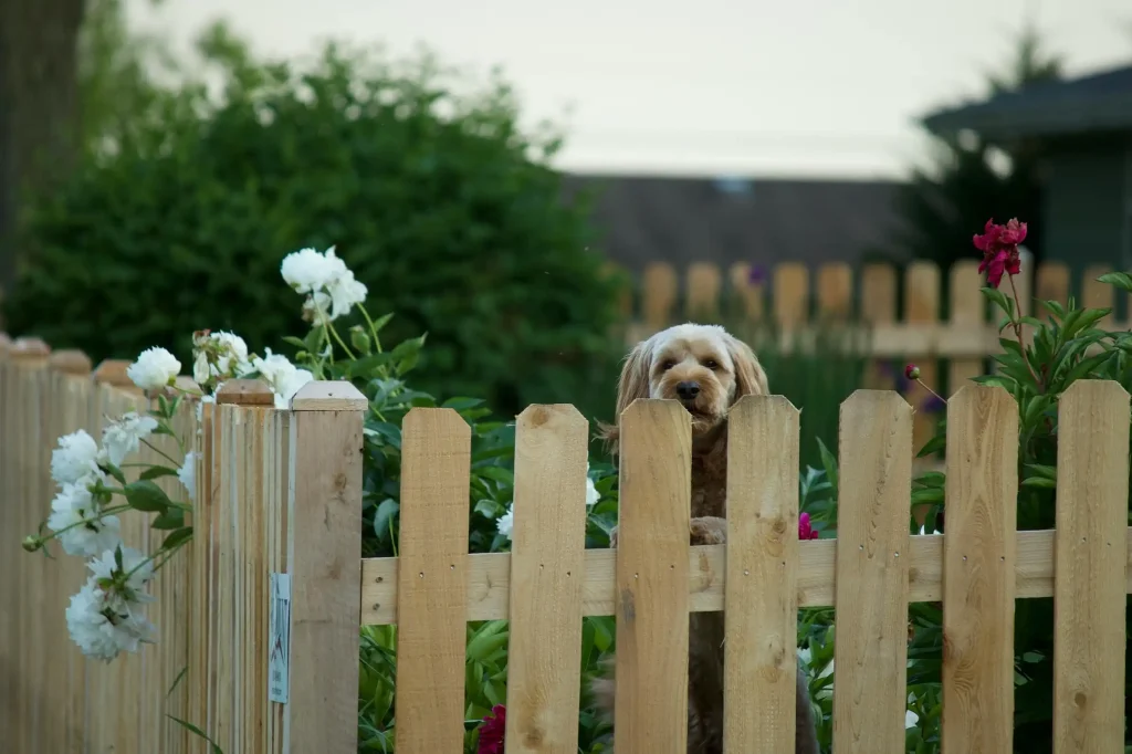 Brits are being warned they could be hit with eye watering fines of up to 5,000 pounds for some of the nation's most irritating neighbour habits this summer.