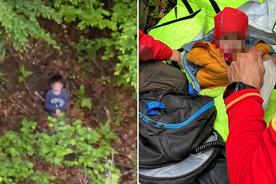 Romanian boy Toma-Alexandru Zerestea, 5, found alive after nearly three days alone in bear-populated Carpathian forest, spotted by Black Hawk helicopter crew.