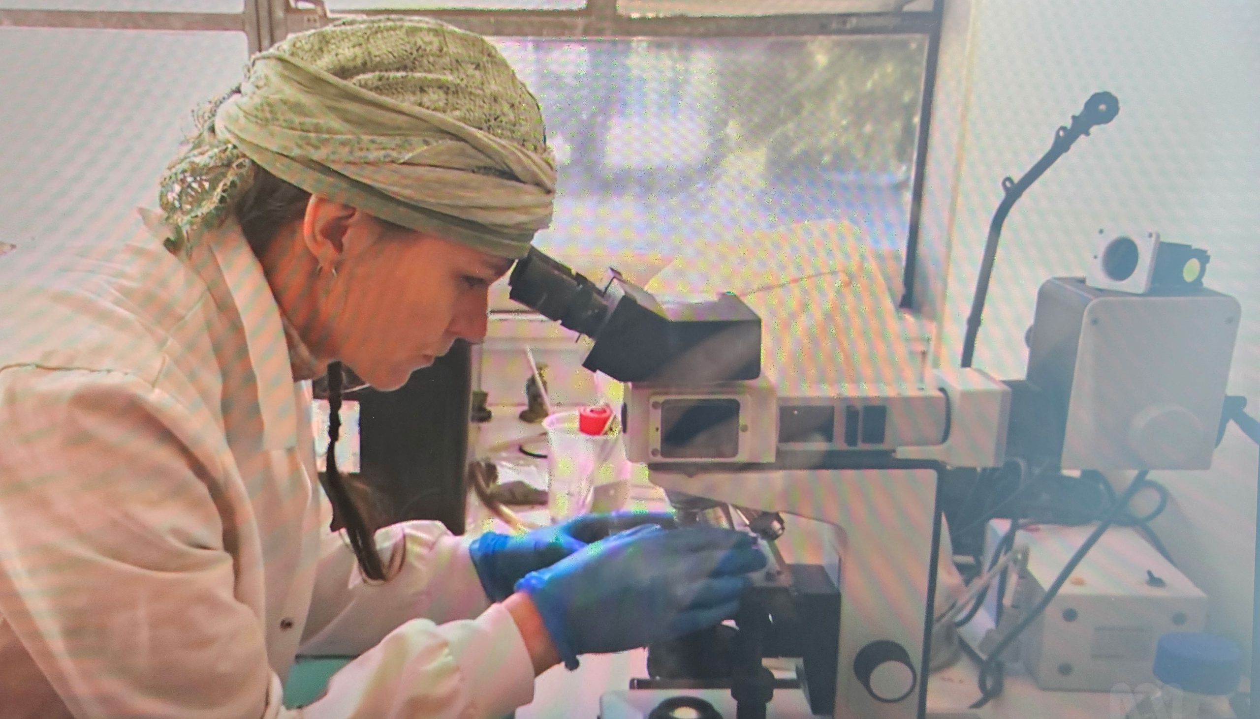 Aussie scientist Dr Pia Winberg, 55, was scalped by machine then walked 200 metres clutching her own scalp to find help, in horror lab accident.