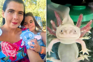 A mum bought her daughter an axolotl and quickly fell in love - ending up with 20 of the rare aquatic creatures and spending hundreds of pounds on her new addiction.