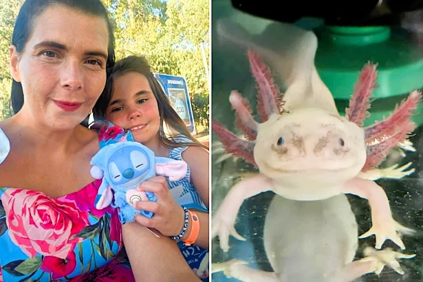 A mum bought her daughter an axolotl and quickly fell in love - ending up with 20 of the rare aquatic creatures and spending hundreds of pounds on her new addiction.