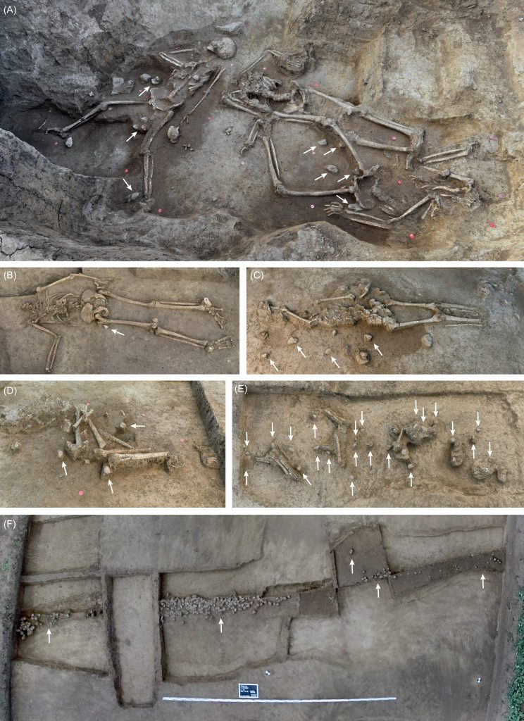 Archaeologists found 77 headless skeletons in a 7,000-year-old Slovak settlement - but researchers believe the skulls were carefully removed after death rather than in a massacre.