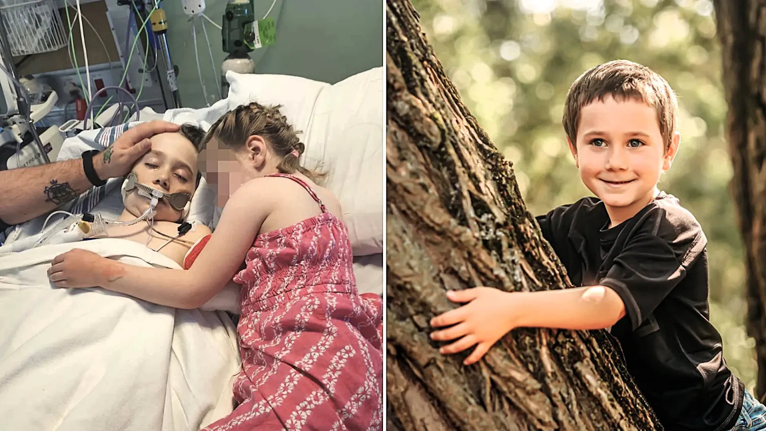 Boy aged 8 with severe allergies died after suffering anaphylactic reaction to ice cream treat believed to be vegan as devastated mum donates his organs to save others.