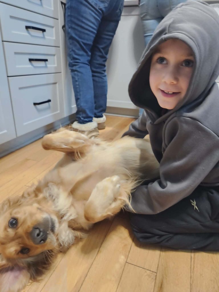 Boy aged 8 with severe allergies died after suffering anaphylactic reaction to ice cream treat believed to be vegan as devastated mum donates his organs to save others.