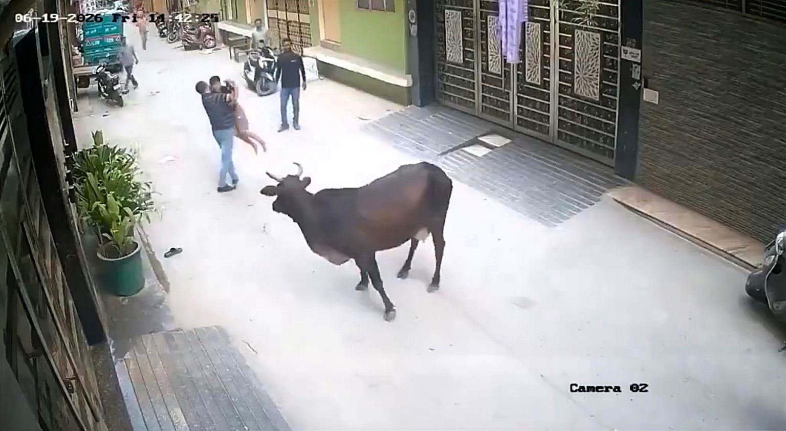 A young boy is recovering at home after a stray cow chased him down and mauled him in the street in New Delhi, with terrifying footage showing locals rushing to save him.
