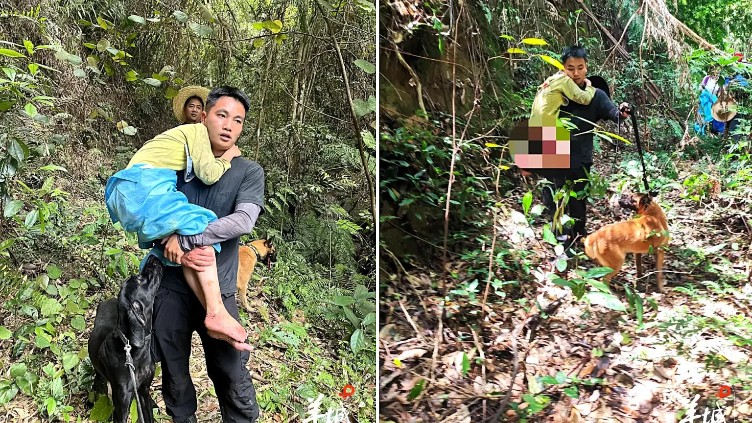 Boy aged 11 with learning difficulties found alive after spending 13 days lost in dense mountain forest surviving on wild figs and rainwater in incredible rescue mission.