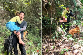 Boy aged 11 with learning difficulties found alive after spending 13 days lost in dense mountain forest surviving on wild figs and rainwater in incredible rescue mission.