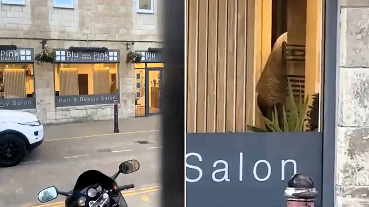 A couple was allegedly caught having sex inside a hair salon while stunned Wetherspoons drinkers watched through the window, with footage racking up 1.7 million views online.