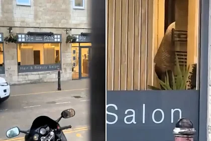 A couple was allegedly caught having sex inside a hair salon while stunned Wetherspoons drinkers watched through the window, with footage racking up 1.7 million views online.