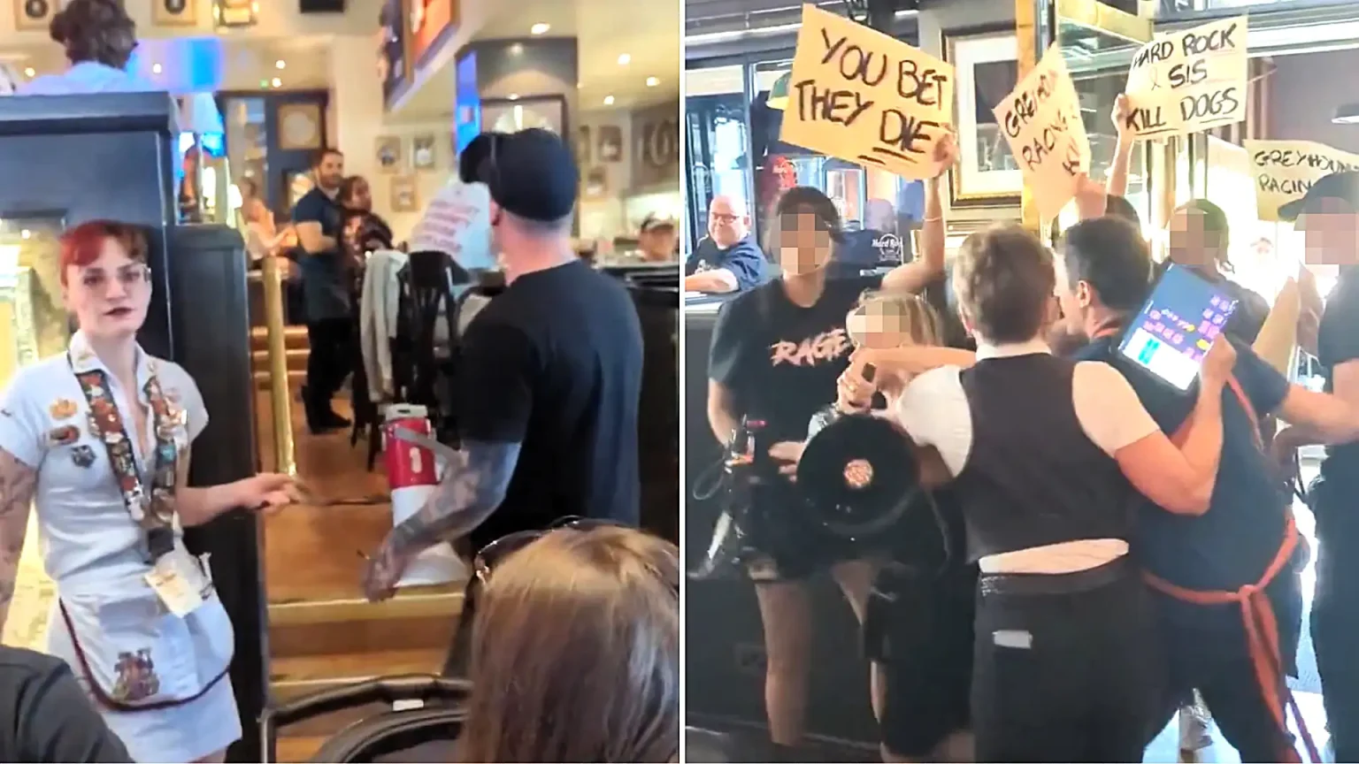 Dozens of anti-greyhound racing protesters stormed a Hard Rock Cafe on Park Lane, chanting slogans and brandishing placards as furious diners had their meals disrupted.
