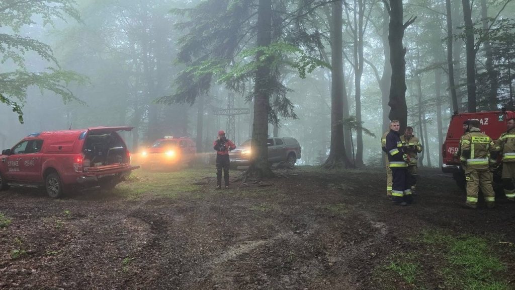 A former volleyball player who gave up sport to become a pilot has died after his helicopter vanished from radar and smashed into a Polish mountainside - aged just 30.