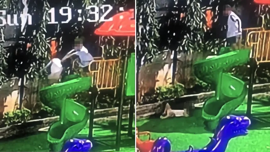 CCTV captured the moment a four-year-old girl was shoved face-first off a slide in Hanoi - she was hospitalised with an eye socket injury after landing five feet below.