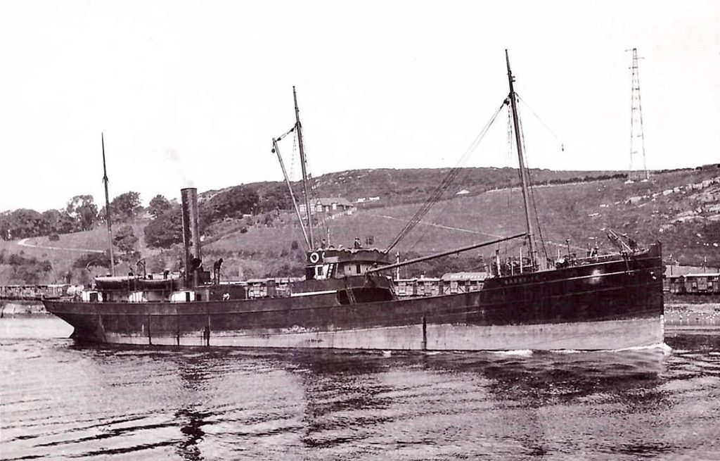 Rare 130-year-old SS Citrine brooch discovered at a vintage valuation event reveals a remarkable link to Scotland's maritime history and the doomed steamship's tragic fate