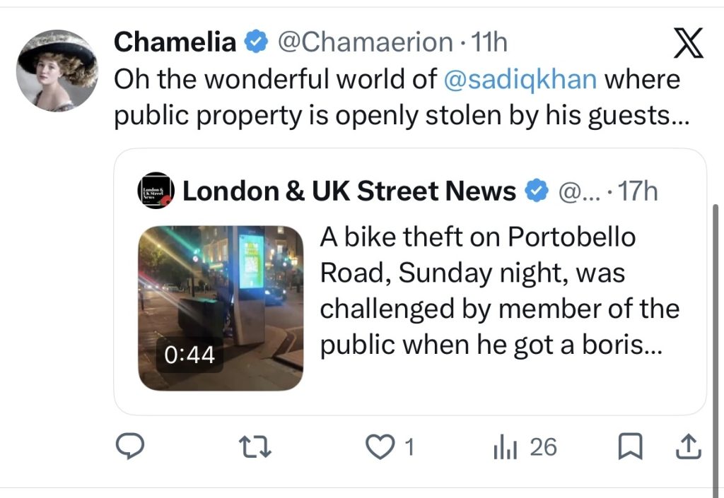 A woman on Portobello Road repeatedly called a masked man a "criminal" and told him to "get a job" as he sawed through a bike lock - and he left without taking the bicycle.