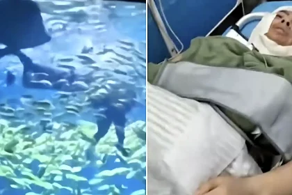 A tourist was bitten on the head and face by a 10ft shark seconds into an aquarium diving experience - staff had reportedly told visitors it was safe enough for children.