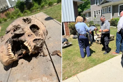 A crawlspace worker got the shock of his life when he found a human skull hidden behind stacked doors - and realised it was real the moment he picked it up.