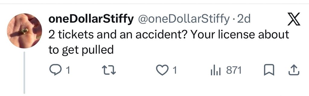 Social media comment on the post of Brit influencer Leah Ray crashed a Ford Mustang on her very first drive in LA - just days after her male fans raised a jaw-dropping £40,000 to fund her World Cup trip.