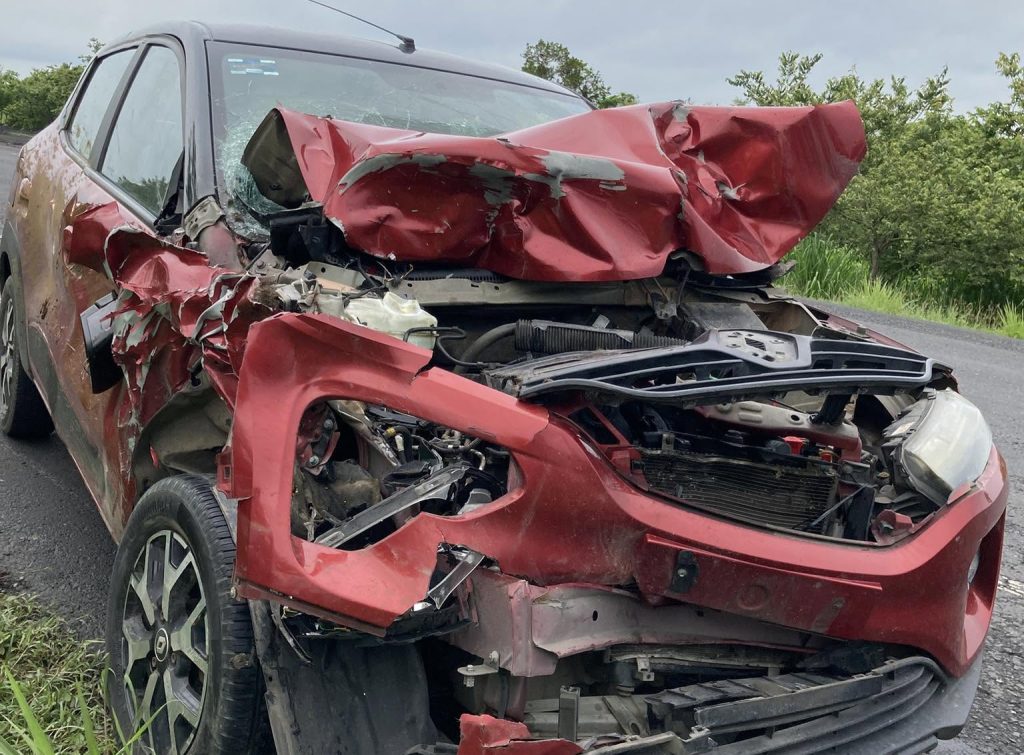 An influencer was hospitalised after her car was destroyed when a cow crossed a Mexican motorway in front of her - she shared a photo from her hospital bed warning others to take care.