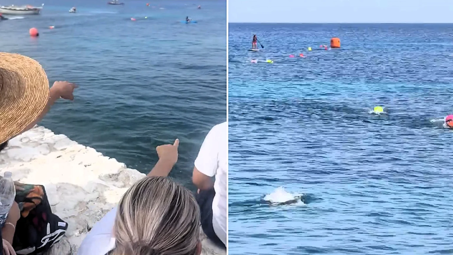 Mothers screamed in terror as a large crocodile swam metres from children competing in an open-water swimming race off the coast of Cozumel Island in Mexico.