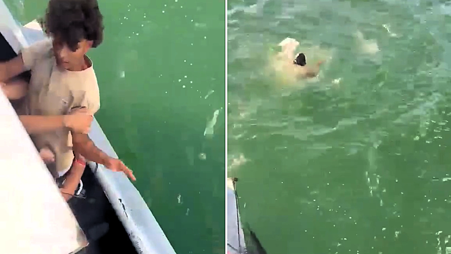 A 22-year-old non-swimmer was allegedly forced off a Colombian party boat and drowned - shocking footage shows bystanders warning he could not swim as he disappeared.