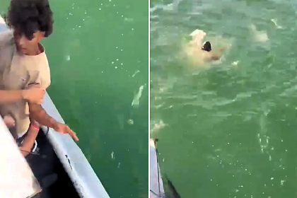 A 22-year-old non-swimmer was allegedly forced off a Colombian party boat and drowned - shocking footage shows bystanders warning he could not swim as he disappeared.