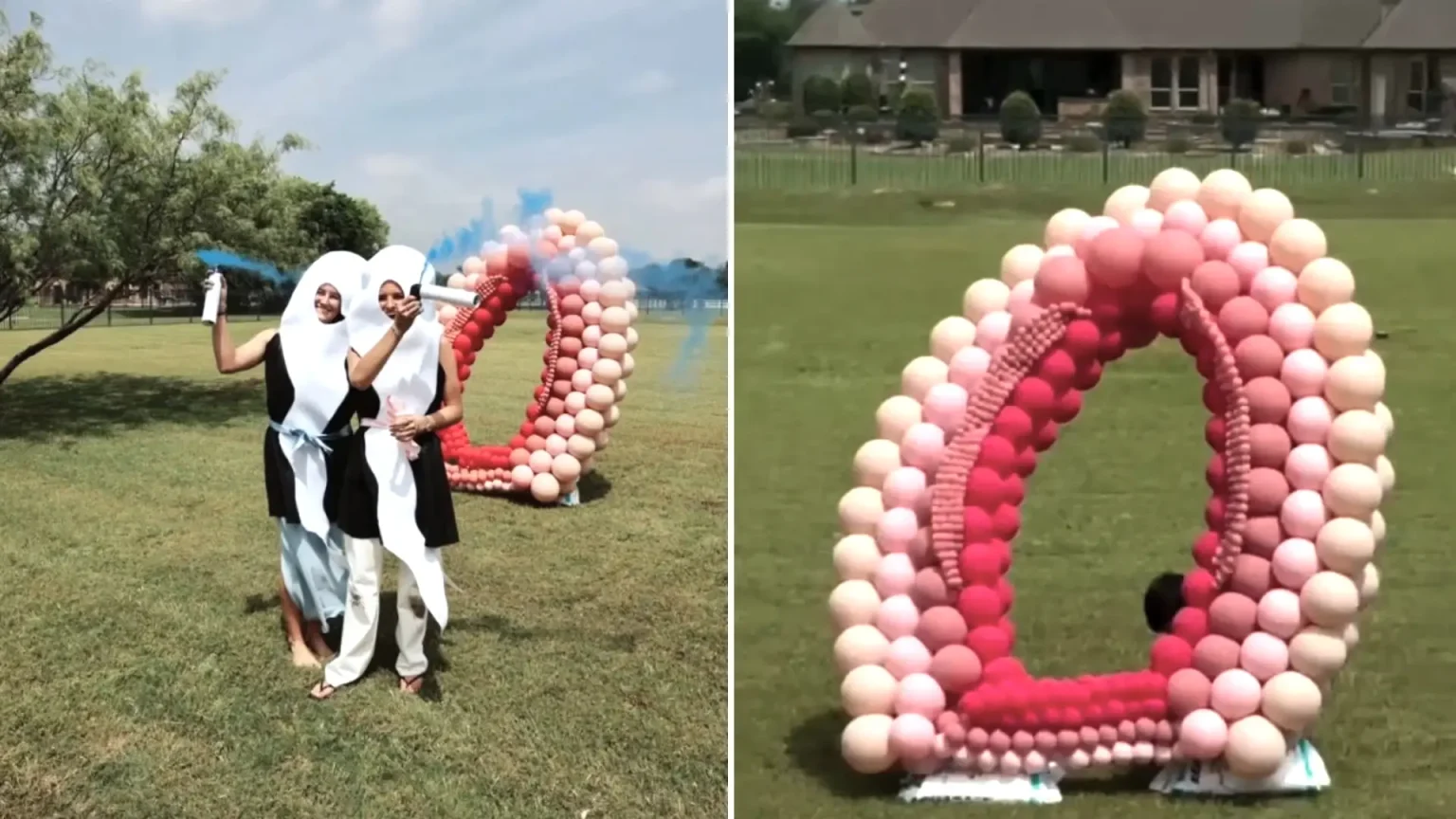A gender reveal has gone wildly viral after guests dressed as sperm raced towards a massive balloon vagina - with one bundling through to reveal they're expecting a boy.