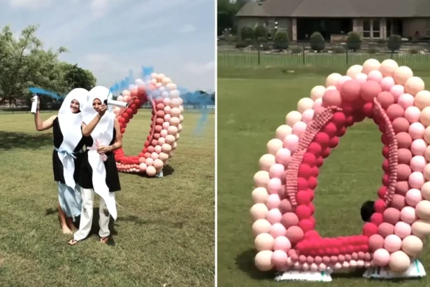 A gender reveal has gone wildly viral after guests dressed as sperm raced towards a massive balloon vagina - with one bundling through to reveal they're expecting a boy.