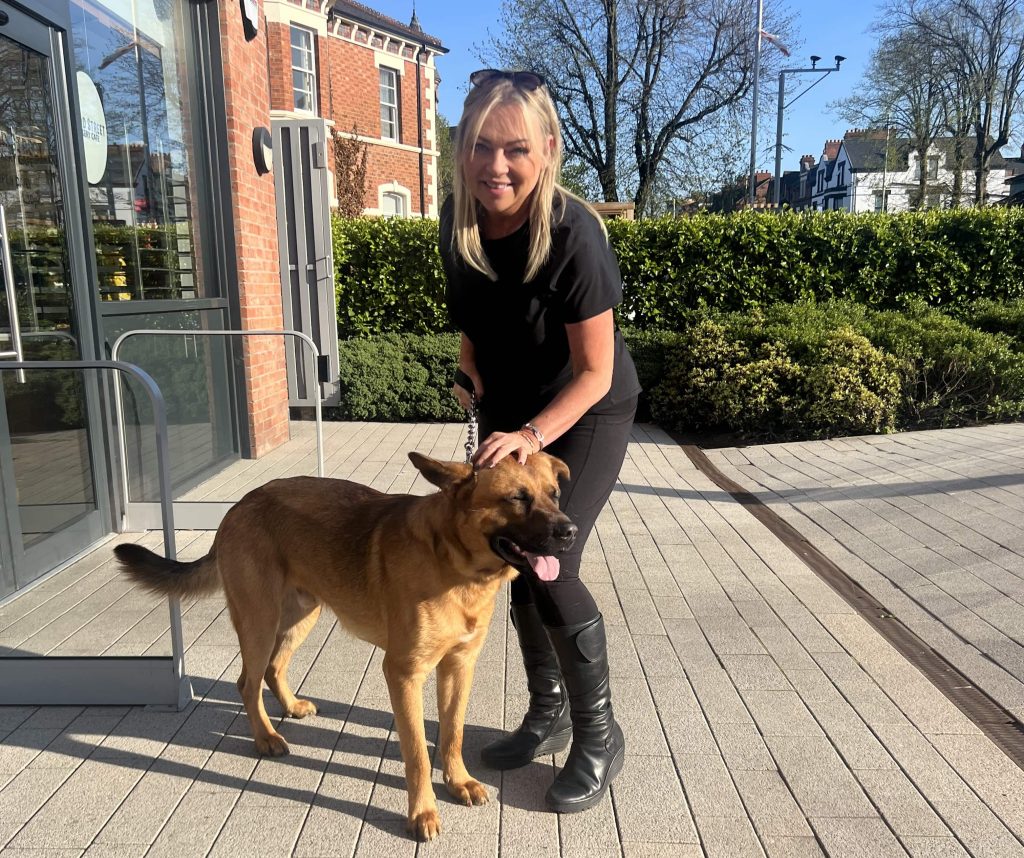 Adorable mastiff puppy Sidney narrowly cheated death after swallowing huge 20cm stick during game of fetch as horrified owner sprinted to emergency vets to save his life.