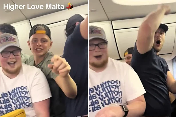 Rowdy Brits turned a Ryanair flight to Malta into a mid-air party after a passenger threw a bottle at another traveller - and the whole cabin erupted into cheers and dancing.