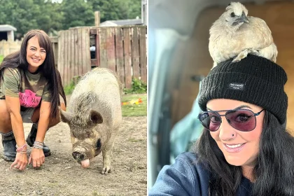 An animal sanctuary caring for 300 vulnerable creatures - including an epileptic pig and a blind deaf dog - has been fighting eviction for five years and still has nowhere to go.