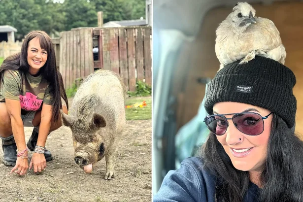 An animal sanctuary caring for 300 vulnerable creatures - including an epileptic pig and a blind deaf dog - has been fighting eviction for five years and still has nowhere to go.