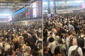 Thousands of commuters were stranded at Euston Station as 37C heat forced rail bosses to introduce a reduced timetable - with passengers urged to travel only if "absolutely necessary."