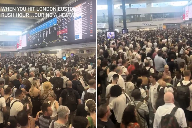 Thousands of commuters were stranded at Euston Station as 37C heat forced rail bosses to introduce a reduced timetable - with passengers urged to travel only if "absolutely necessary."