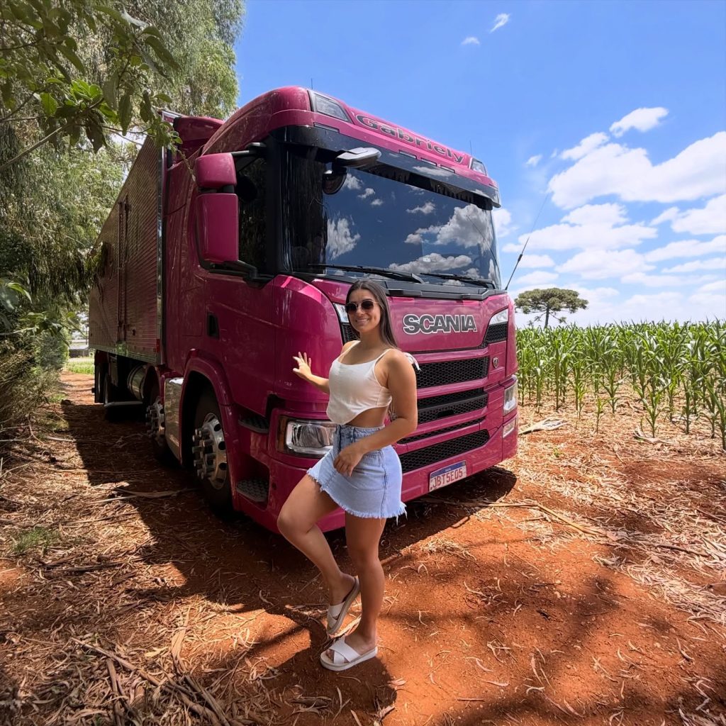 Influencer truck driver Gabriely Franciscon walked away unscathed after her pink lorry flipped into a ditch following a head-on crash on a Brazilian highway at 4am.