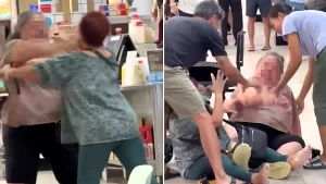 Two elderly women were filmed brawling with their walking aids in a Singapore coffee shop, trading blows and grappling on the floor in a fight that left one OAP hospitalised.