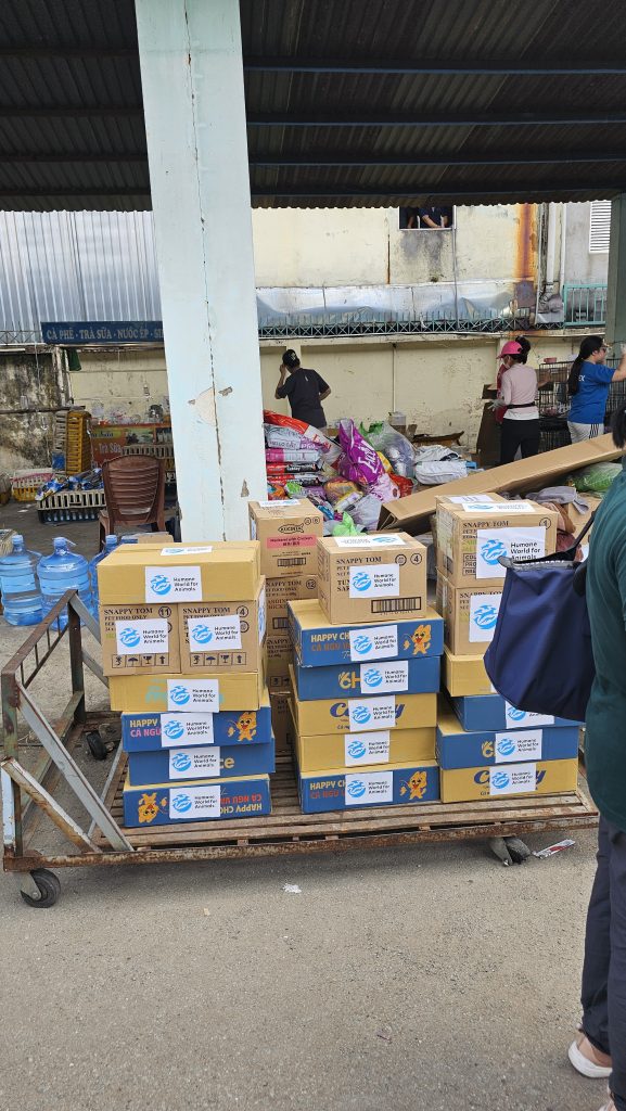 More than 400 live cats crammed into cages and dozens of dead ones packed in ice were seized in Vietnam during one of the largest cat theft operations uncovered in recent years.
