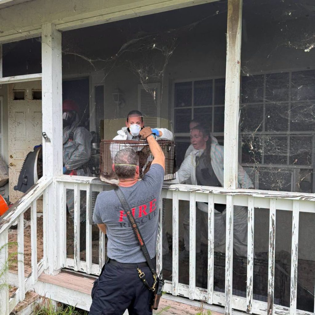 Woman, 77, arrested after emergency crews rescued more than 90 cats and dogs from a Florida home 'filled with animal faeces' - with a hazmat team called in to enter safely.