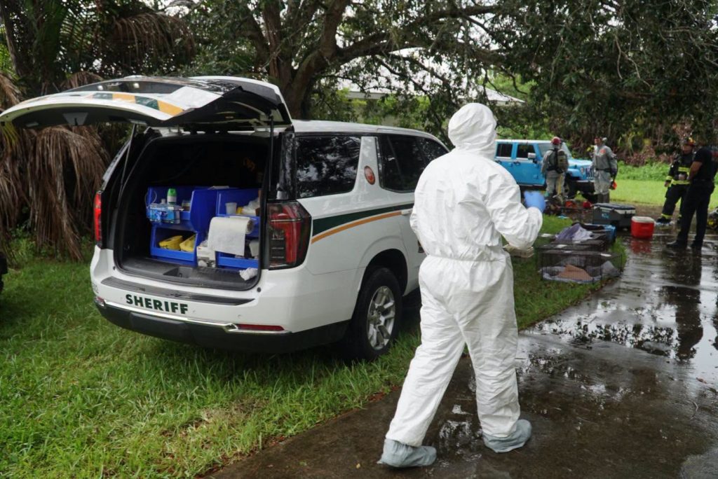 Woman, 77, arrested after emergency crews rescued more than 90 cats and dogs from a Florida home 'filled with animal faeces' - with a hazmat team called in to enter safely.