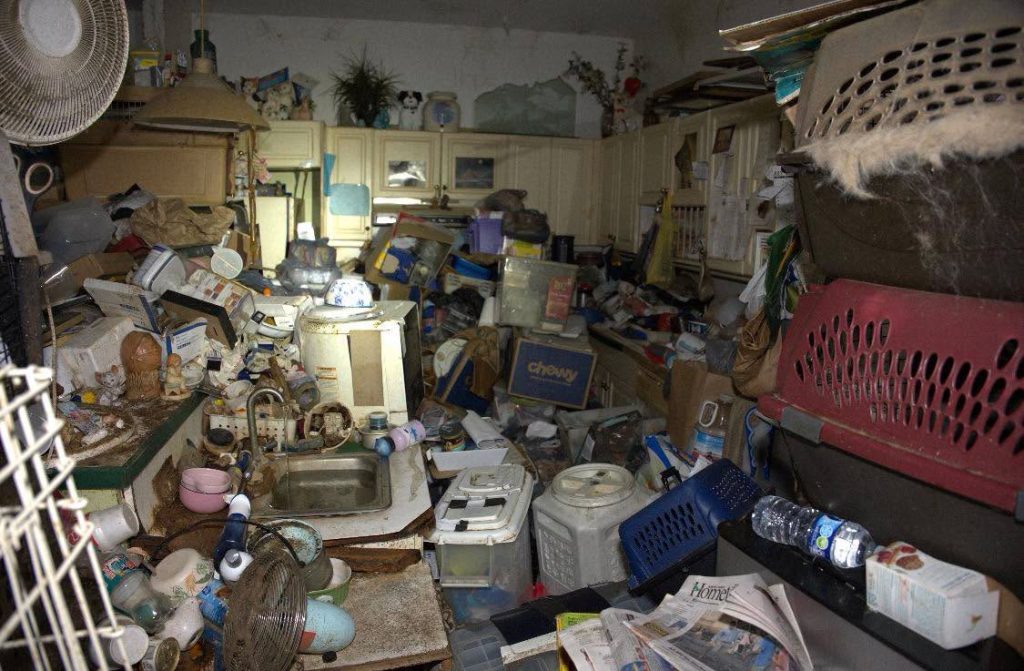 Woman, 77, arrested after emergency crews rescued more than 90 cats and dogs from a Florida home 'filled with animal faeces' - with a hazmat team called in to enter safely.