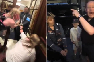 Animal activists were wrestled to the floor by security after storming a luxury Mayfair Marriott with megaphones - clashing with furious guests, one guest was heard screaming.