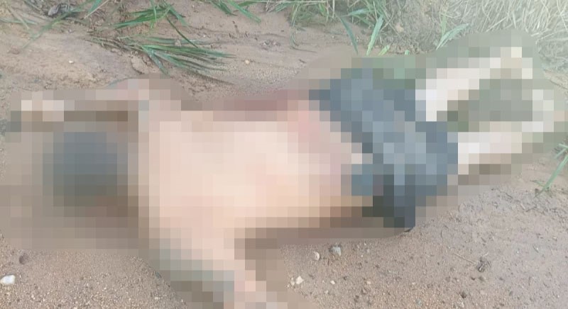 A former beauty queen and influencer known as Miss Tattoo has been shot dead alongside her boyfriend on a rural roadside in Brazil - police suspect they were held captive.