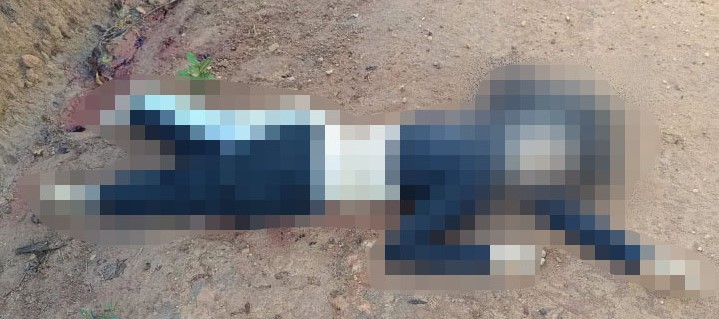 A former beauty queen and influencer known as Miss Tattoo has been shot dead alongside her boyfriend on a rural roadside in Brazil - police suspect they were held captive.