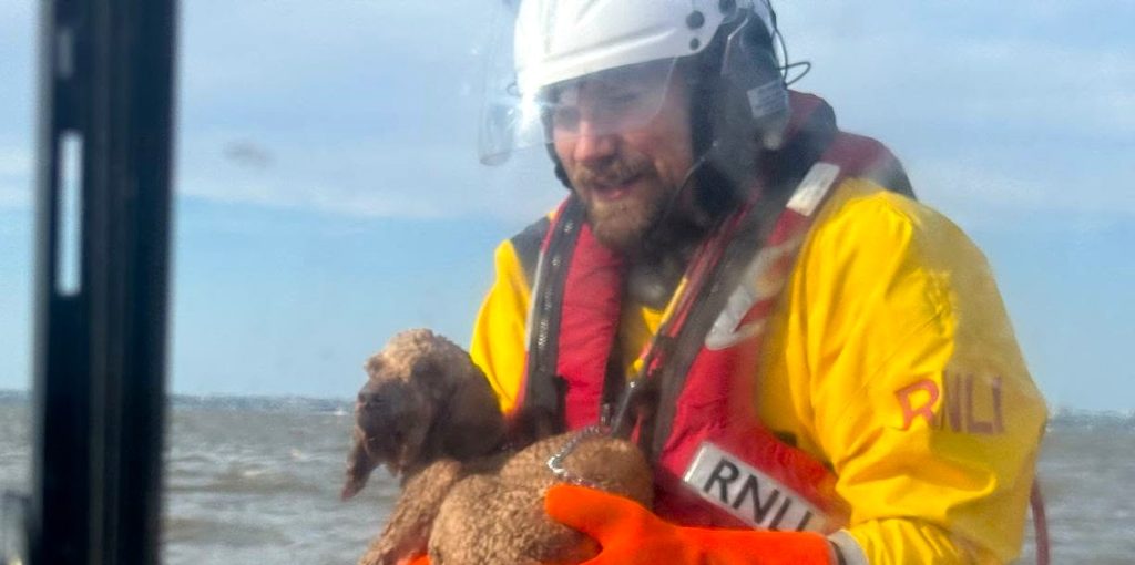 Spaniel Benji rescued by hovercraft in the nick of time after becoming trapped in mud on the Thames Estuary - crew say another minute could have ended in tragedy as the tide rose.