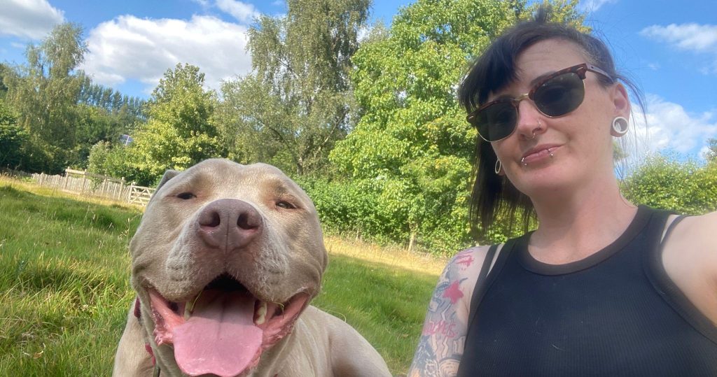 A "dangerous" XL Bully has settled into life as a happy "lapdog" who spends his days watching over 414 donkeys at a Devon sanctuary with his owner, who calls him a "big dope".