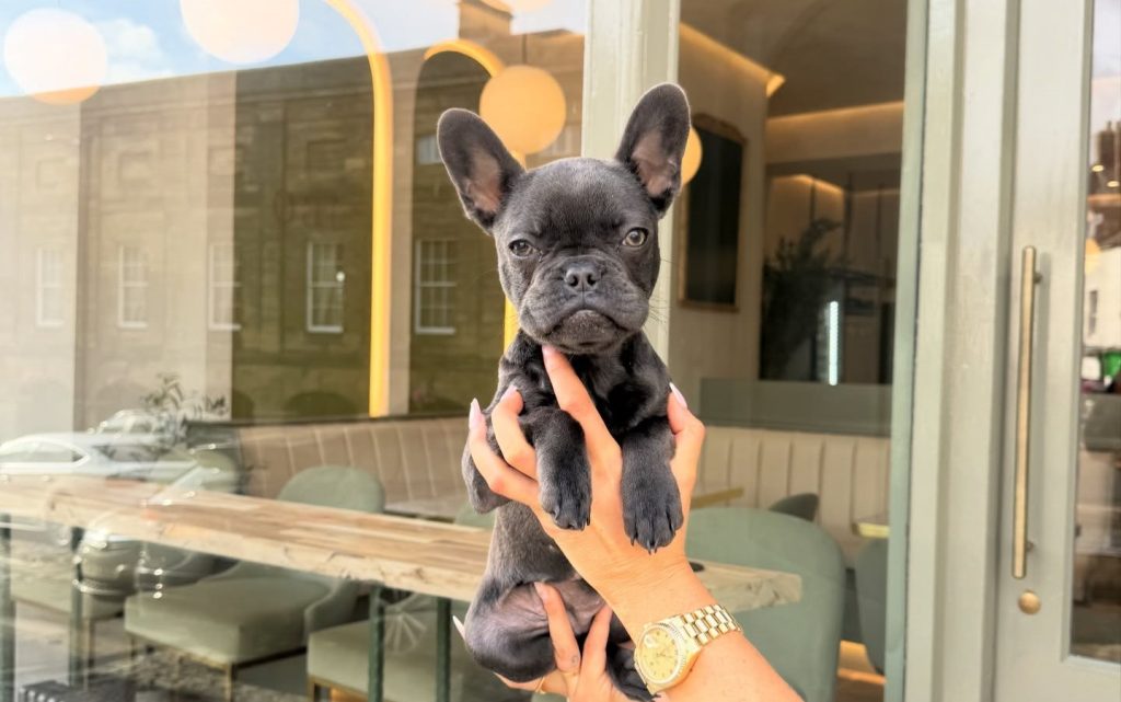 Chloe Ferry's boyfriend's new café has been slammed by customers for "charcoal" sausages, eggshell in their food and an hour-long wait - despite the Instagram-ready hype.