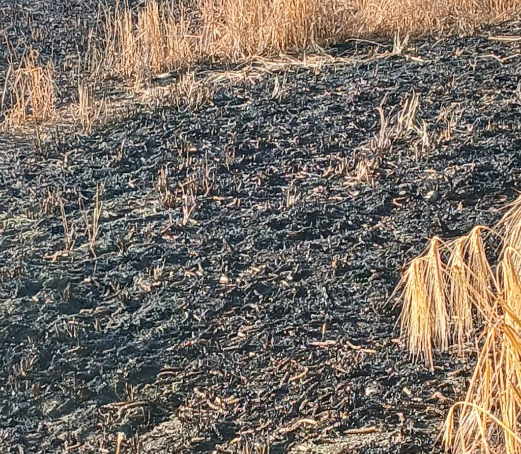 Couple stunned after a huge wildfire erupts during a relaxing countryside walk, tearing through a field the size of 14 football pitches in minutes.