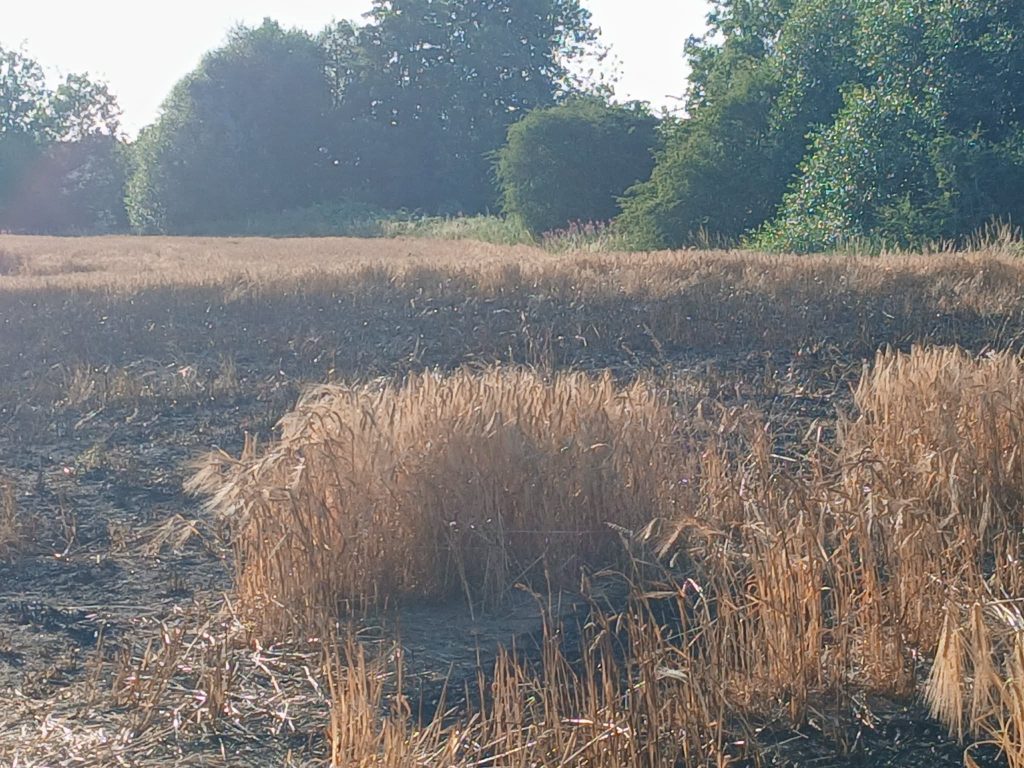 Couple stunned after a huge wildfire erupts during a relaxing countryside walk, tearing through a field the size of 14 football pitches in minutes.