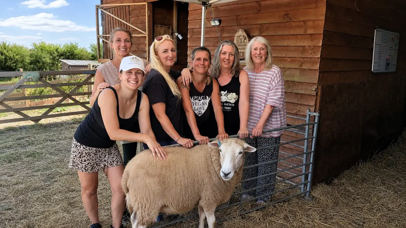 A Devon animal sanctuary says its rescued animals could starve after Britain's drought left its fields completely bare - it now spends £500 a week on extra feed.