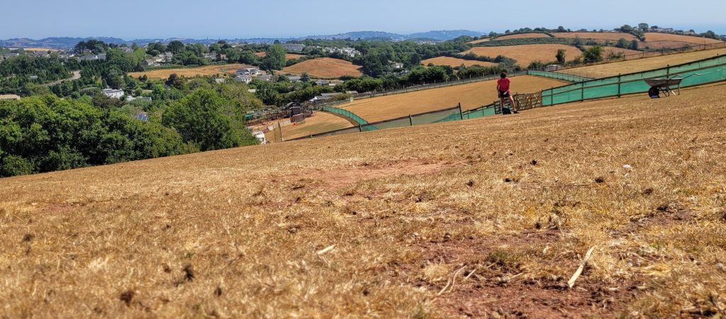 A Devon animal sanctuary says its rescued animals could starve after Britain's drought left its fields completely bare - it now spends £500 a week on extra feed.