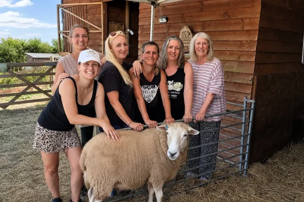 A Devon animal sanctuary says its rescued animals could starve after Britain's drought left its fields completely bare - it now spends £500 a week on extra feed.